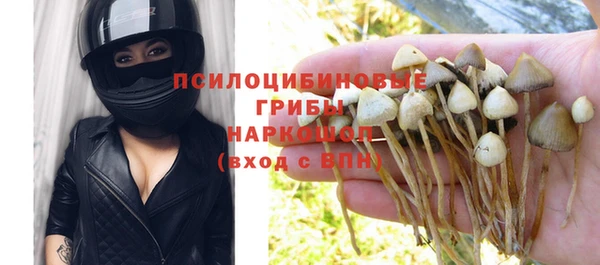 прущий лед Козловка