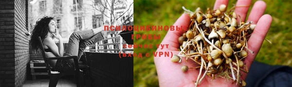 jwh Козельск