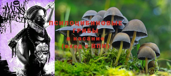 прущий лед Козловка