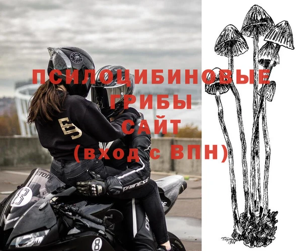 прущий лед Козловка