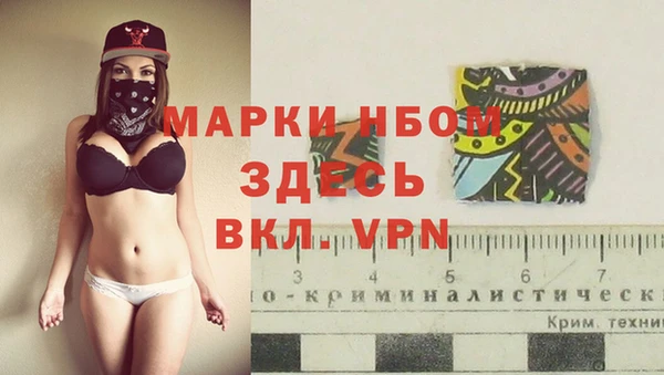 прущий лед Козловка