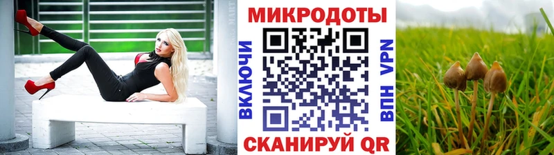 Галлюциногенные грибы прущие грибы  Новочеркасск 