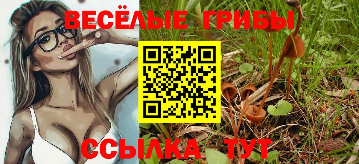 Новочеркасск  Псилоцибиновые грибы ЛСД  Вход с VPN 